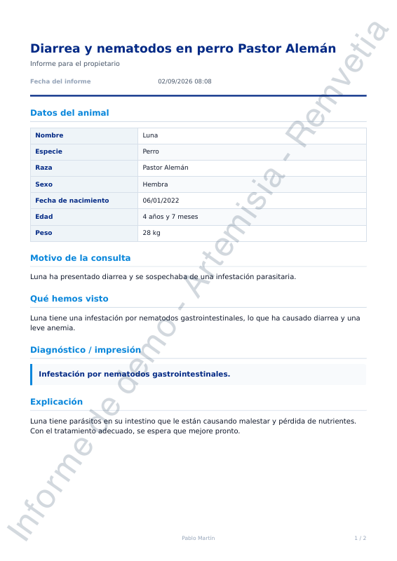 Vista previa del informe para propietario de ejemplo